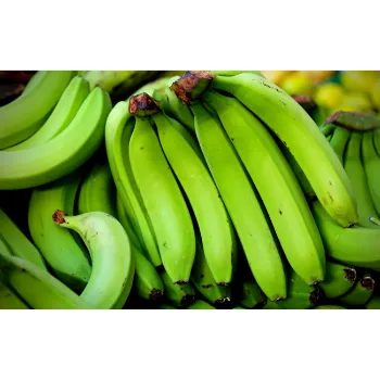 Green Banana  (11)-7019463-3329.webp